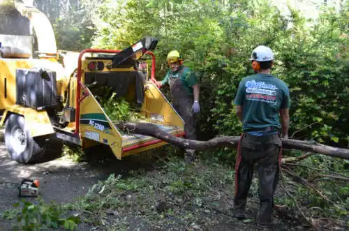 tree services West Goshen